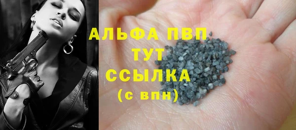 таблы Гусев