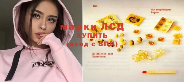 таблы Гусев