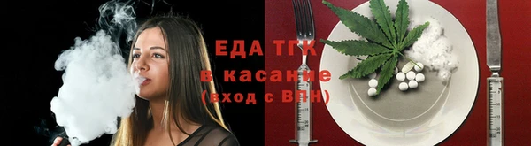 стаф Медногорск