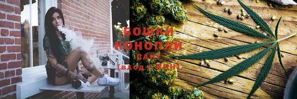 не бодяженный Гусь-Хрустальный