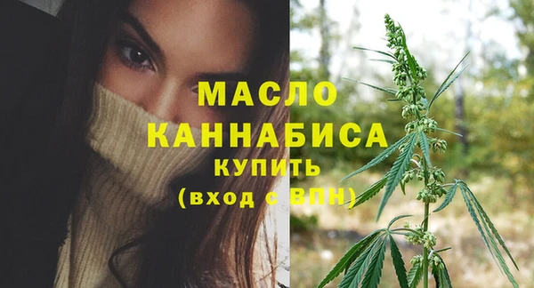 таблы Гусев