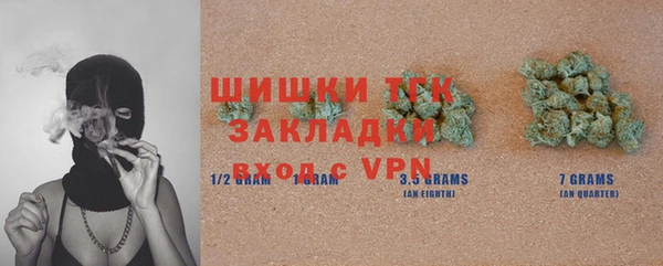 таблы Гусев