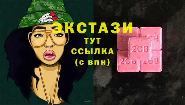 стаф Медногорск