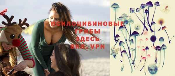 стаф Медногорск
