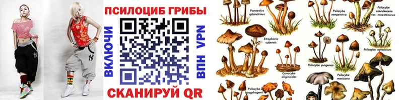 закладка  Жирновск  мориарти какой сайт  Галлюциногенные грибы Magic Shrooms 